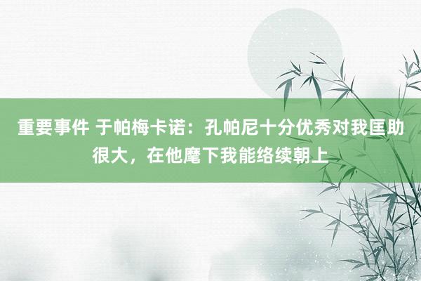 重要事件 于帕梅卡诺：孔帕尼十分优秀对我匡助很大，在他麾下我能络续朝上