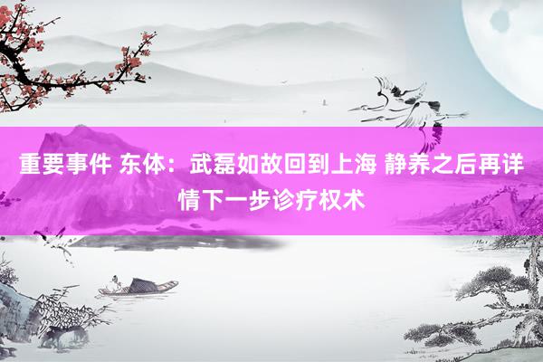 重要事件 东体：武磊如故回到上海 静养之后再详情下一步诊疗权术