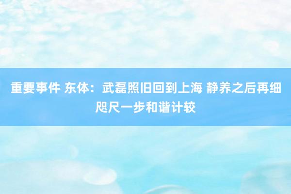 重要事件 东体：武磊照旧回到上海 静养之后再细咫尺一步和谐计较